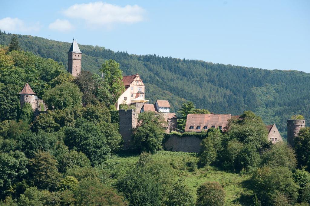 Schlosshotel Hirschhorn Exterior foto