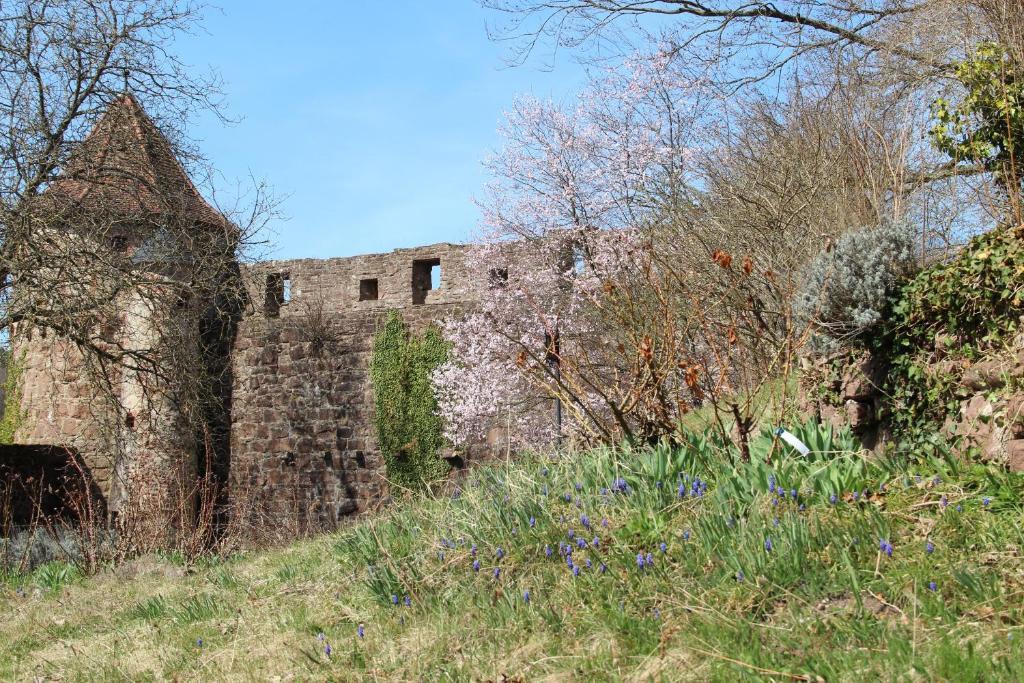 Schlosshotel Hirschhorn Exterior foto